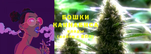 прущие грибы Покачи