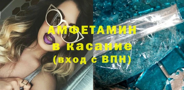 прущие грибы Вязьма