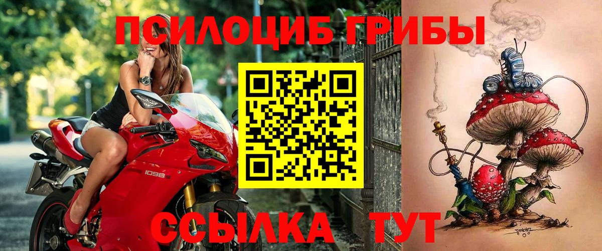 Псилоцибиновые грибы Psilocybine cubensis  Вход с VPN  Галлюциногенные грибы мухоморы  Карталы 