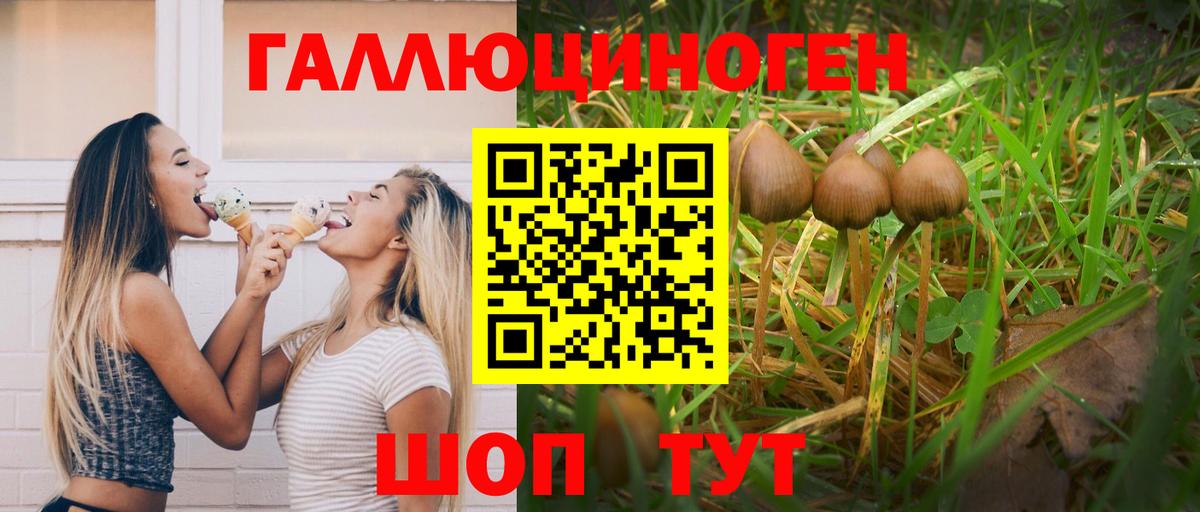 Галлюциногенные грибы Magic Shrooms Карталы